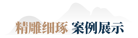 案例展示 案例展示